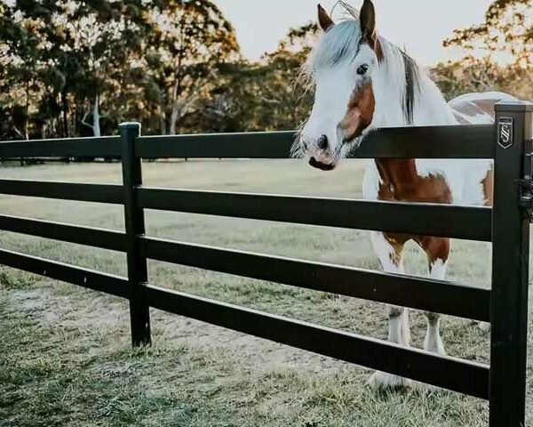 Aluminum-Horse-Fence