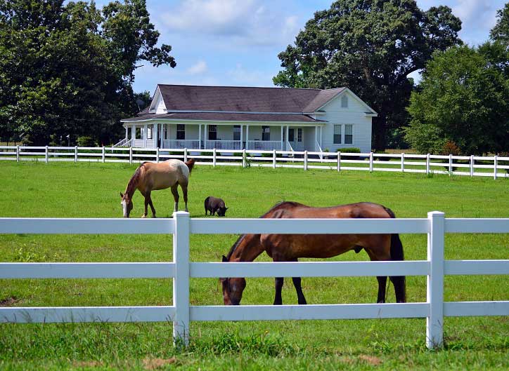 Equine Fence